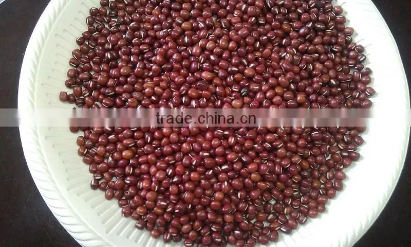Chinese New crop red adzuki bean