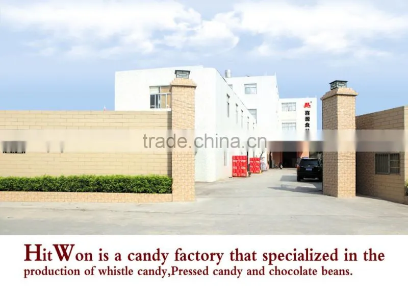 Hitwon mix fruit candy tablet candy