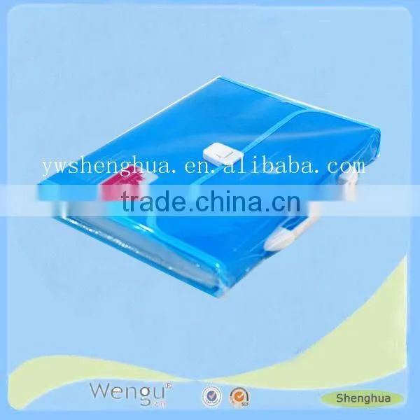 2015 New Design Hot Sale PP Document Bags/ blue simple pp file case