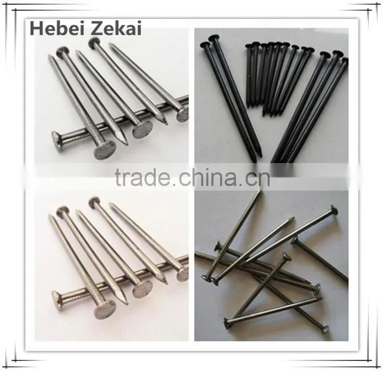 cheap price galvanized common nails for wood/furniture