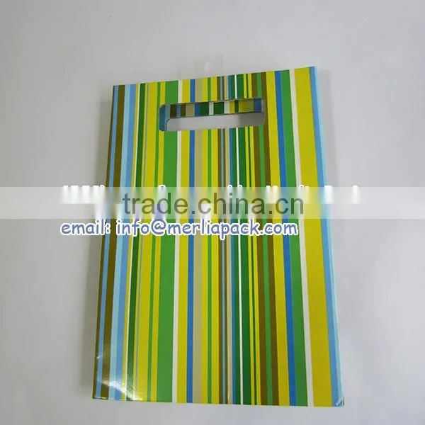 Luxury Paper Gift Bags Party Wedding Birthday with Euro Hook Slot Hang Tabs Bag