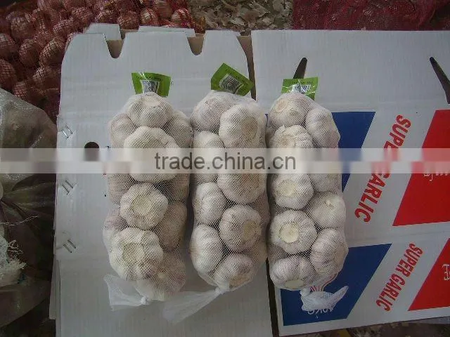 2012 crop pure white garlic in retail packing
