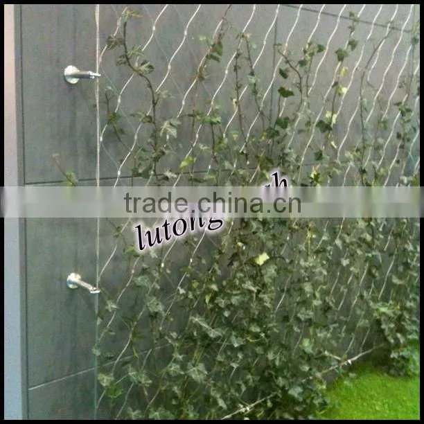 Stainless Steel Ivy Screen Cable Mesh