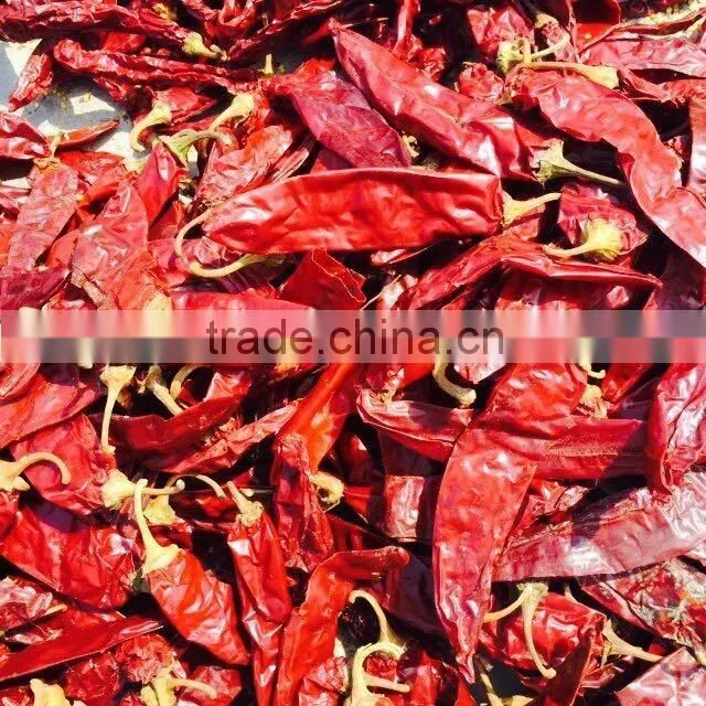 red chilli