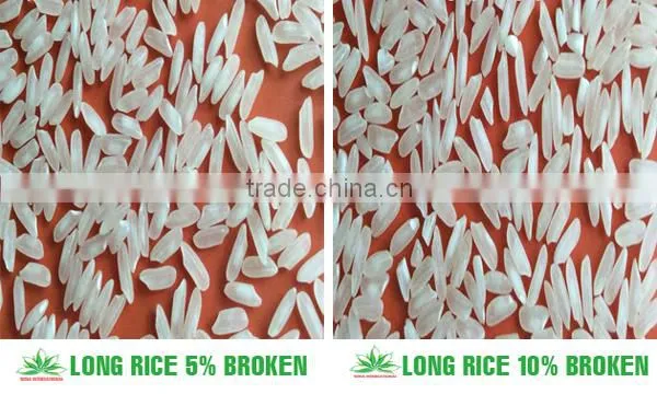 VIETNAMESE JAPONICA RICE - GOOD PRICE