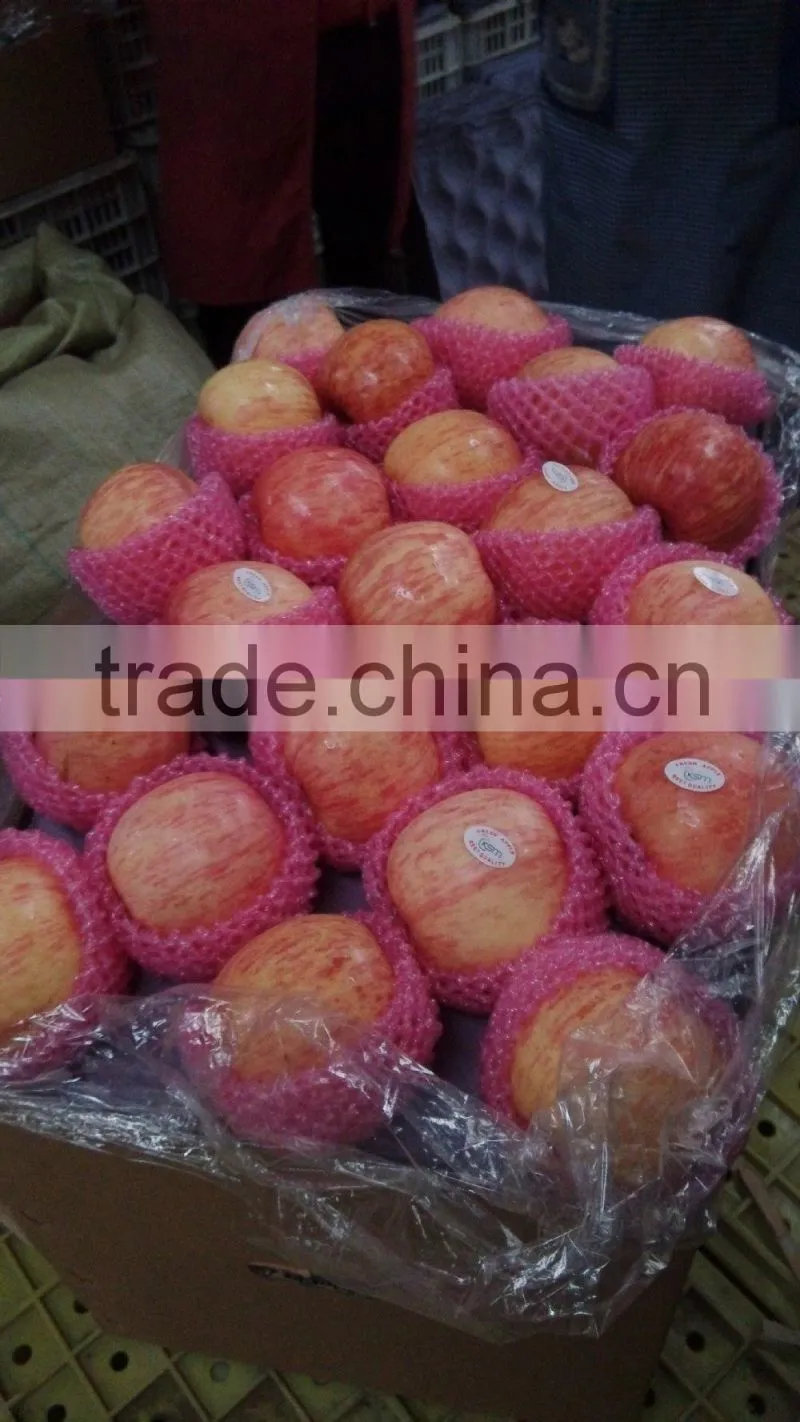 chinese fuji apple