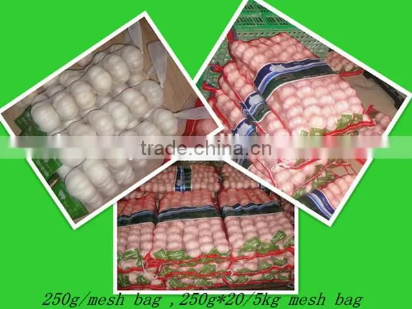 chinese garlic