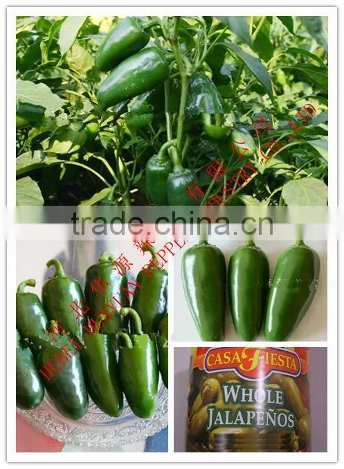 Jalapeno chilli crushed