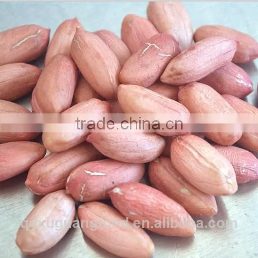 long type blanched peanut kernel