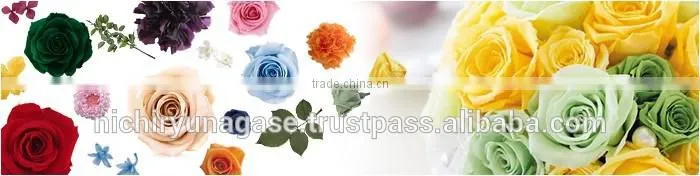 Pretty hydrangea preserved flowers with various species