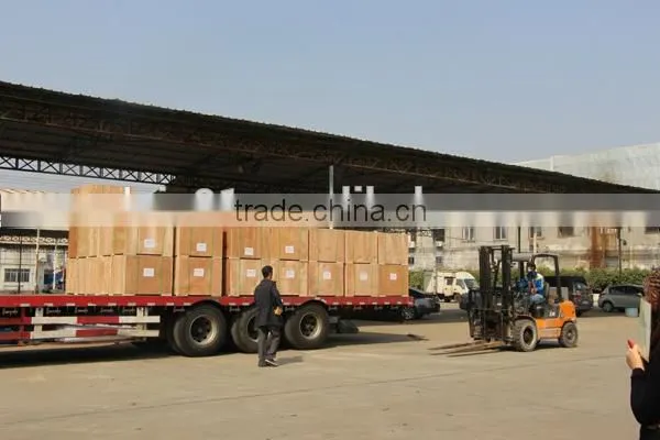 VLAIS Open Type EC8000CL Electric Start 7kw Gasoline Generator