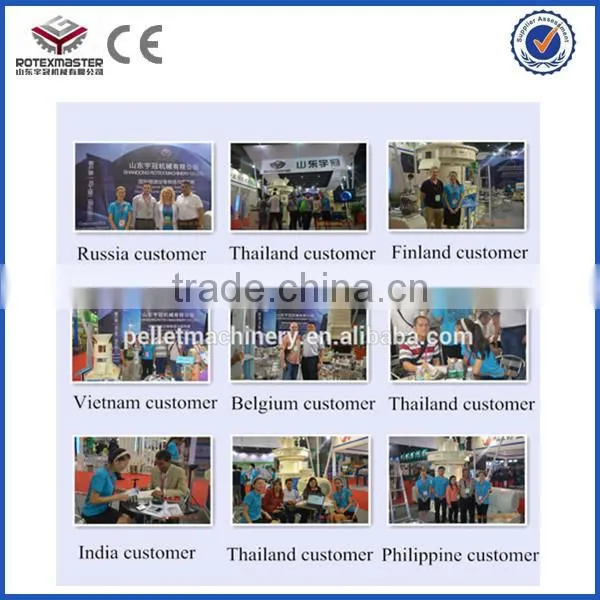 vertical ring die low consumption biomass pellet efb pellet mill in malaysia
