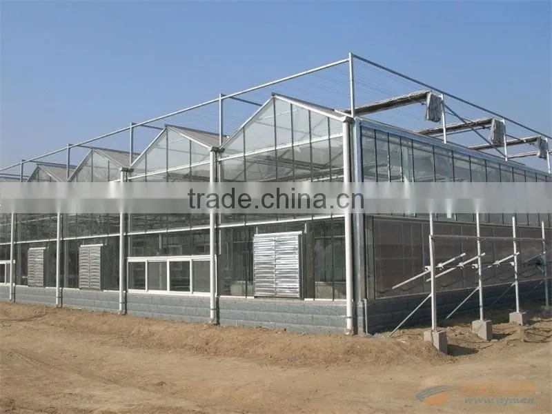 Light steel structure greenhouse for modern agriculture