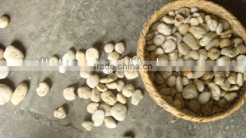 Natural polished yellow pebble stone