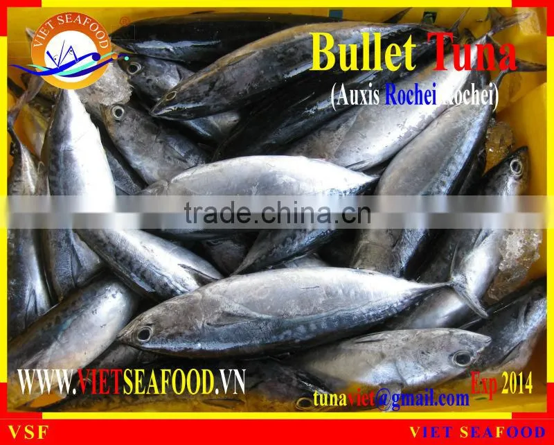 FROZEN W/R BULLET TUNA