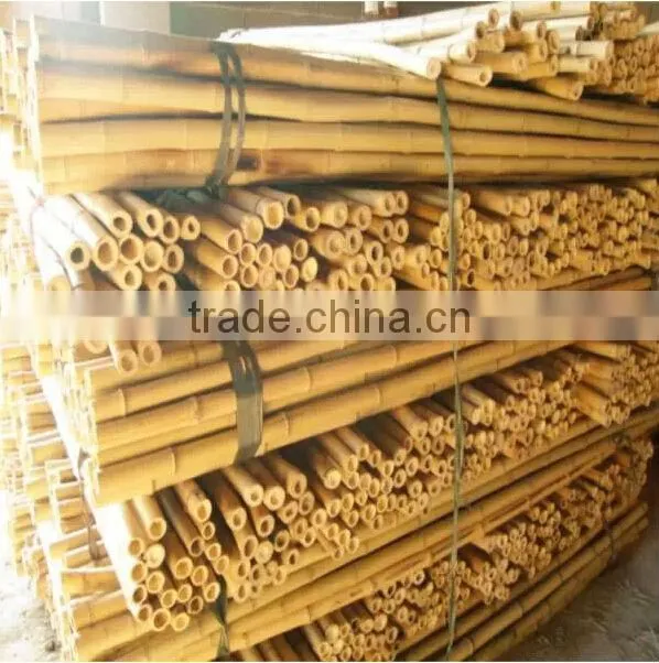 high quality garden bamboo canes