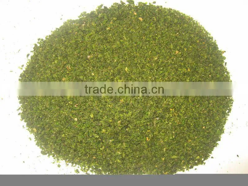 ULVA SEA LECTTUCE seaweed