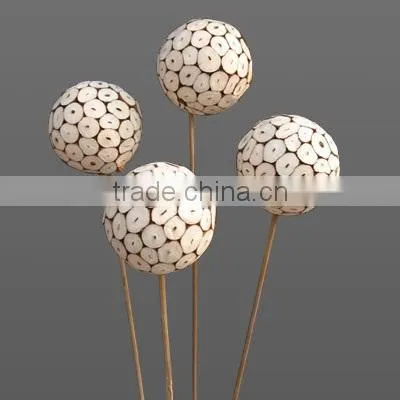 Sola log ball