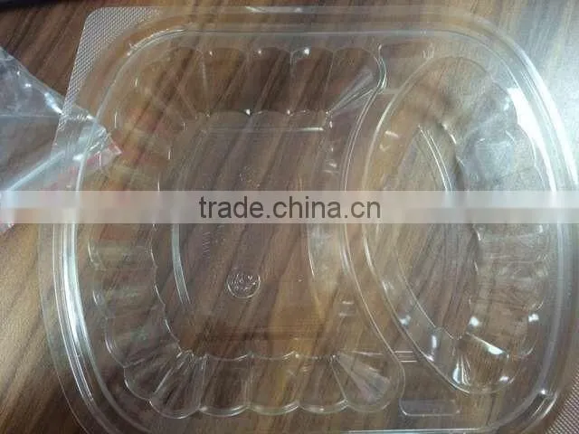 Automatic PP Material Plastic Thermoforming Machine Fast Food Box