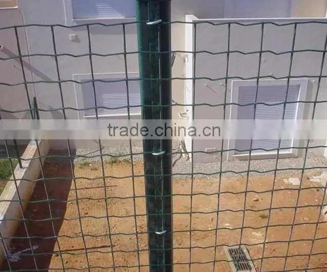 High qulity factory price holland wire mesh