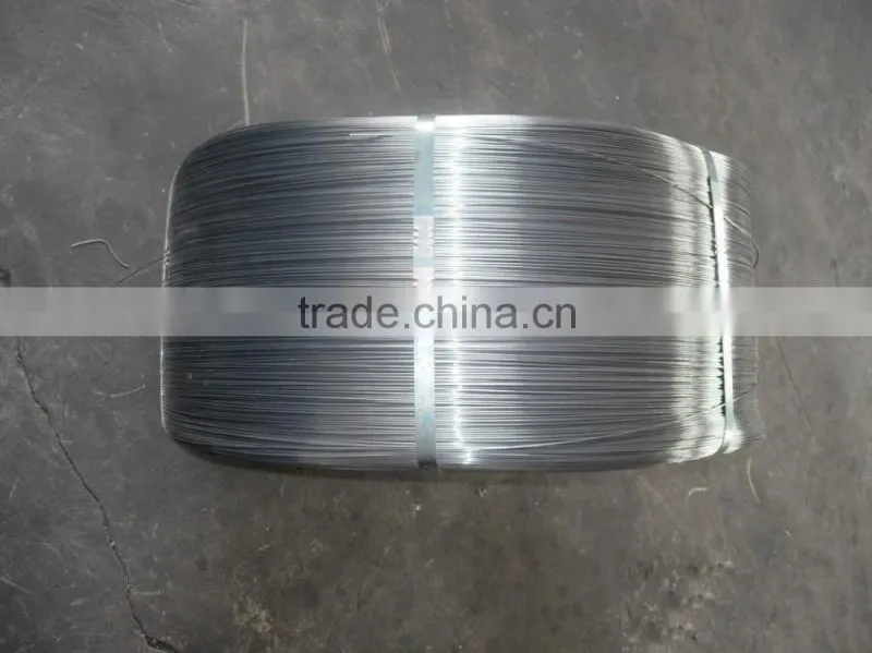 hot sale galvanized patented steel wire