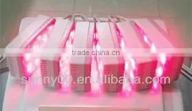 cosmetic lipo laser equipment 2013062410