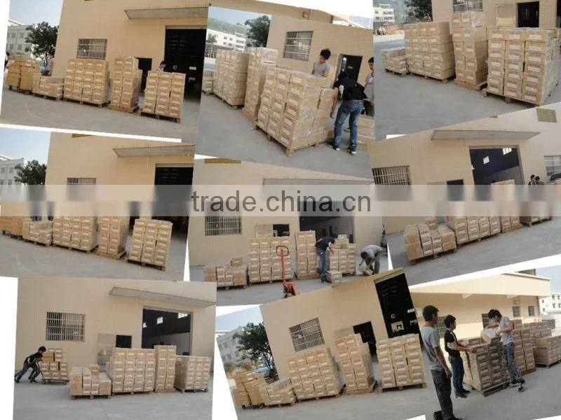 magnetic door access control system