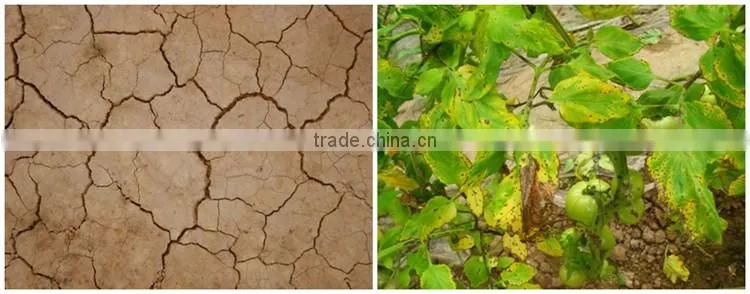 FAQ 13--SH9071 Huminrich Humate Soil Conditioner