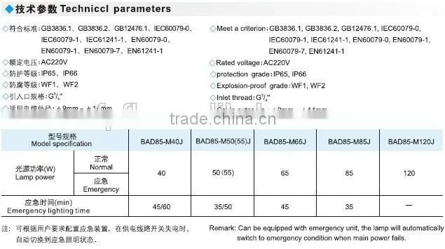 BAD85 explosion proof induction lamp