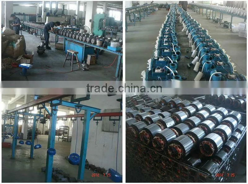 Three phase MS series Induction Motor