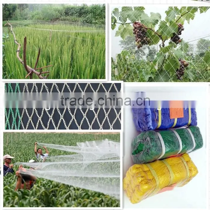 woven fabric netting to protect apple tree from hail,insect bit,anti-birds