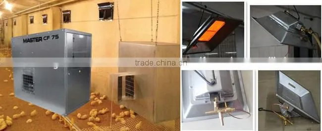 Automatic broiler poultry farm equipment