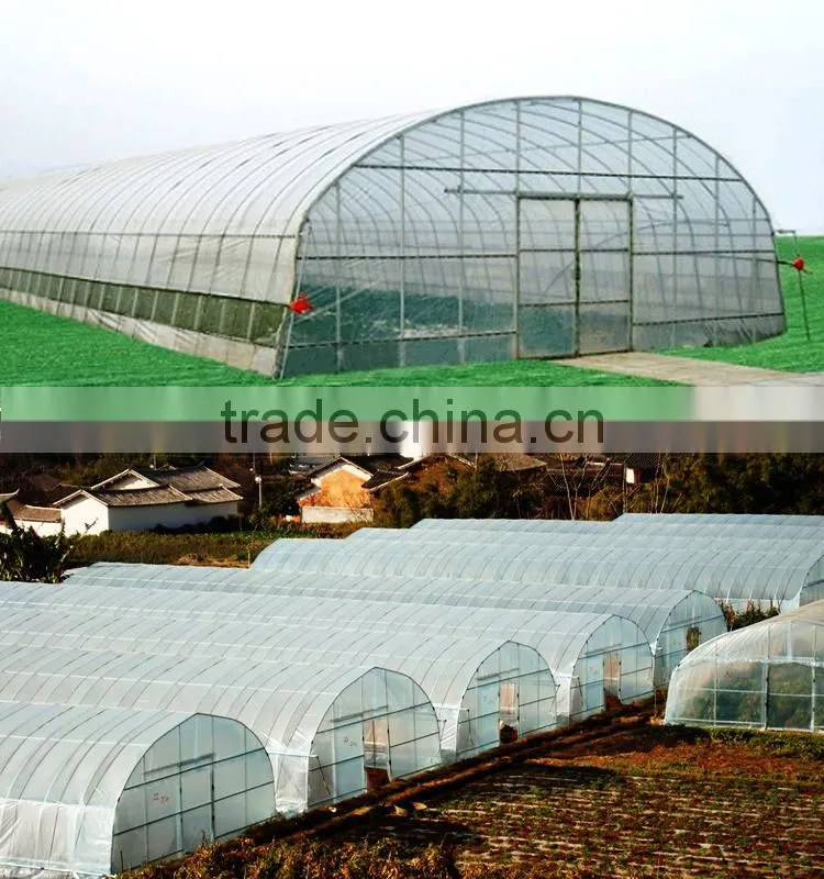Single span farm using greenhouse tent for sale