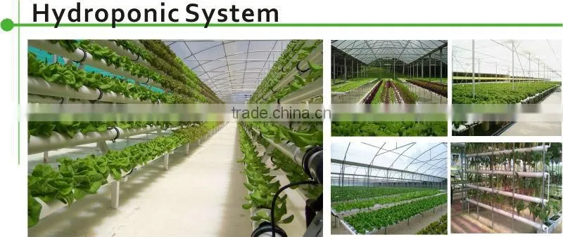 Indoor hydropon growing system for greenhouse/hydroponic system/Agrotime Advanced nft hydroponic systems for sale/aquaponic syst