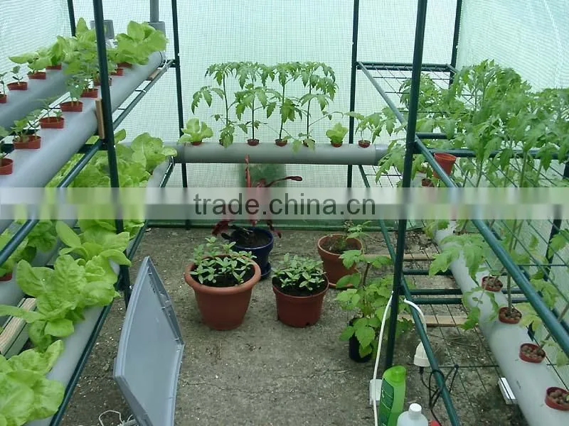 with UV anti white fruit fly net