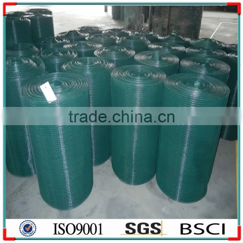 ELECTRO GALVANIZED WELDED MESH 50x50