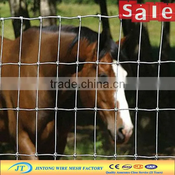 heavy duty galvanized mesh diamond mesh horse fencing from china