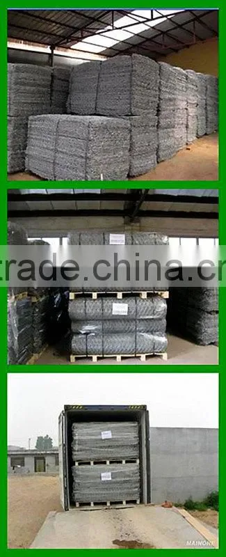 Best Price Gabion Wire Mesh/Gabion Cage/Gabion Wall (Factory)