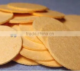 2015 The Body Shop Soft Facial Cleansing Sponge