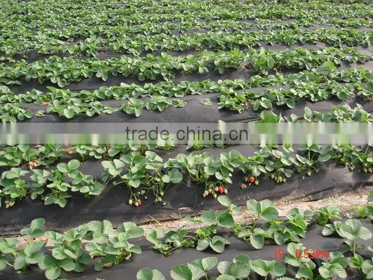 Technology 2016 Agriculture Nonwoven Polypropylene Fabric Roll