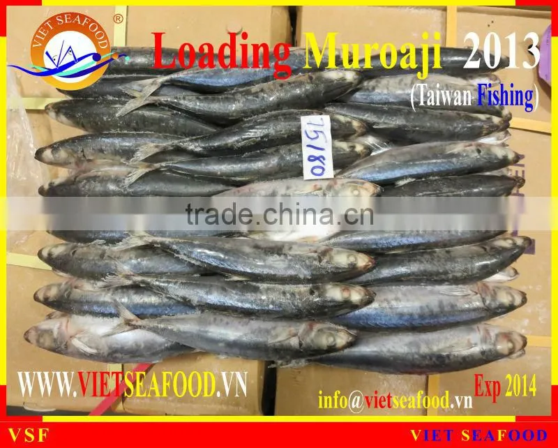 LOADING MUROAJI FOR TUNA BAIT