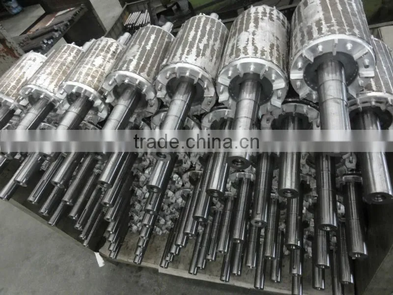 AC Electric Motor Rotor