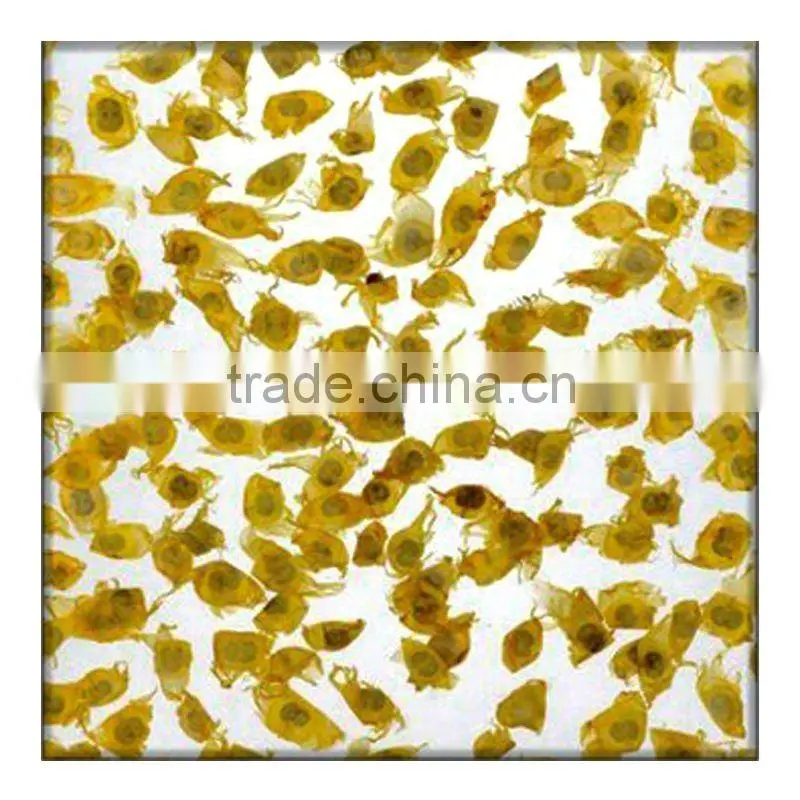 transparent home deco interior resin panel design