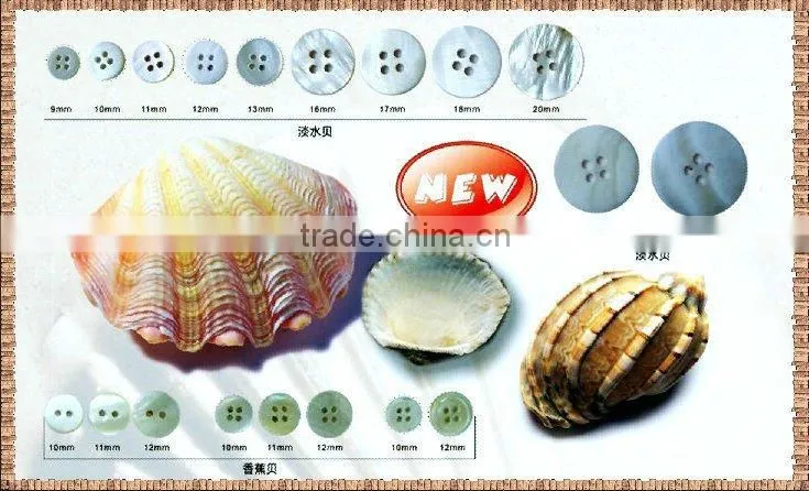 16L natural agoya shell buttons for shirt