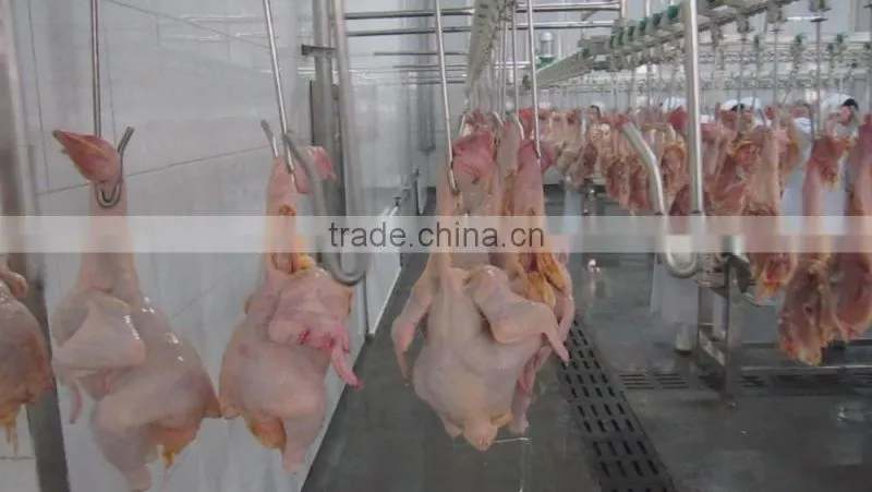 portable automatic chicken slaughter houses for slaughtering