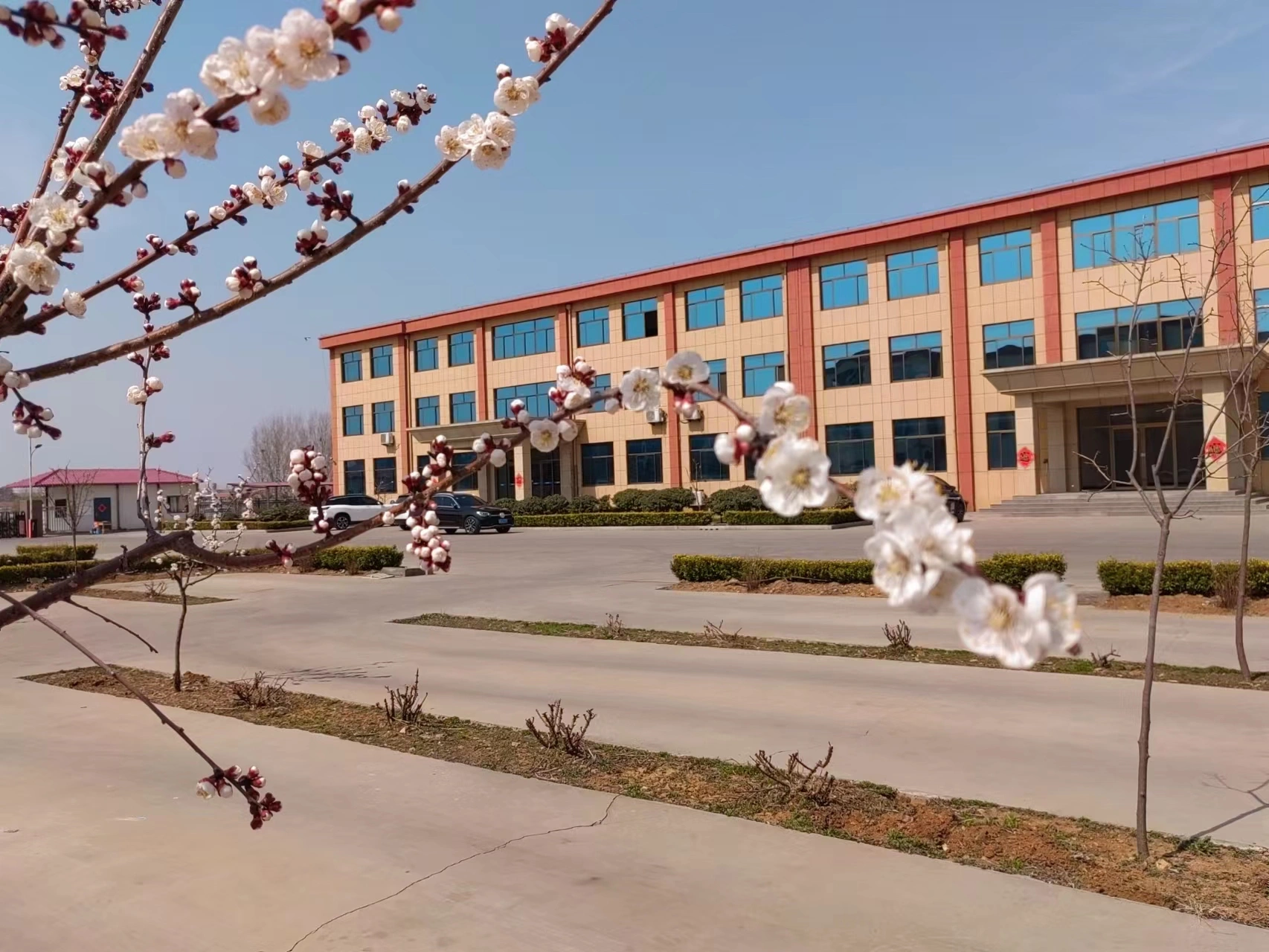 Linyi Unite Bio-technology Co.,ltd company overview - view 1