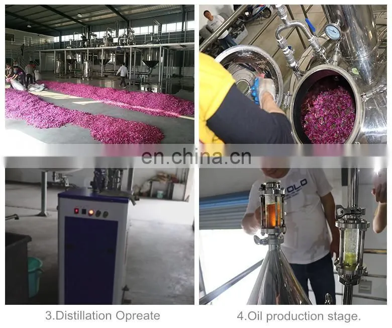 100L - 500L honeysuckle plant flower leaf essential oil extractor extraction machine essential oil distillation equipment