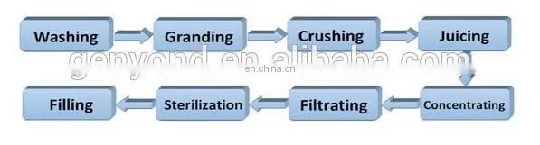 Commercial cashew apple juice processing line