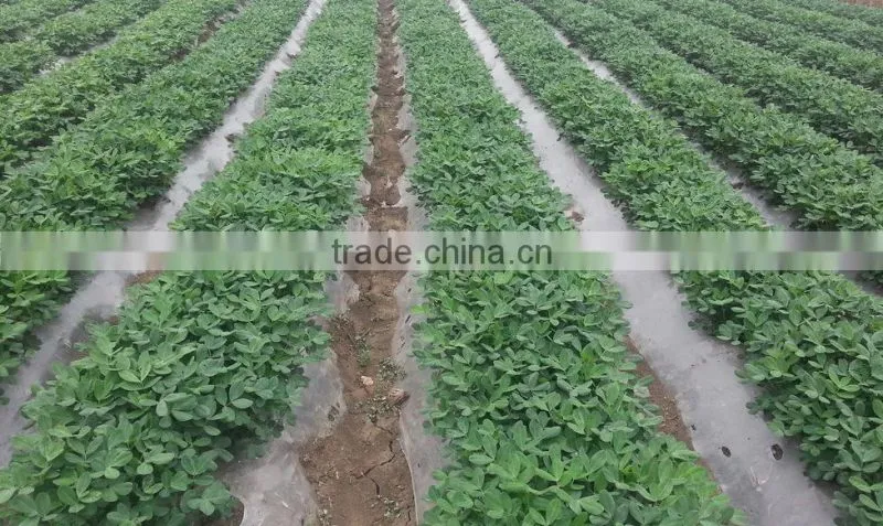 clear mulch film in rolls,plants growing anti weed film,LLDPE mulching film