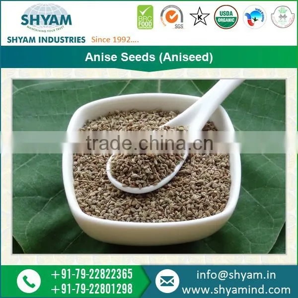 Anise Seeds In Different Quantities and Packaging For Export
